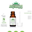 모두네일