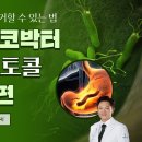 헬리코박터균 치료 - 천연 제균 프로토콜 이미지