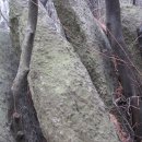 도비산 등산로 이미지