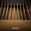 북신안농협미곡종합처리장 이미지