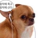 닥터파크한의원 이미지