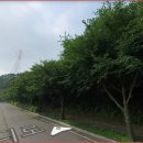 월롱공인중개사사무소 이미지