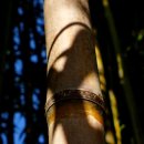 부산수목전시원 이미지