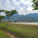 황산공원 족구장 네이버블로그