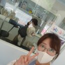 도기그룸 이미지