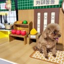 카페기안