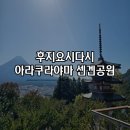 가정원 | [일본] 후지산 후지요시다시 아라쿠라야마 센겐공원(新倉山浅間公園) 후기