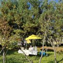 포곡 도시숲 이미지