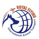 로얄플라잉 | 인천강아지분양 로얄플라잉 전문성있는 분양업체