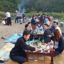 청태산아로니아