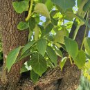 태림농장 이미지