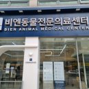 비엔동물전문의료센터 이미지