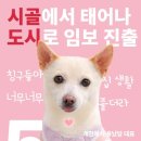 포프렌즈 네이버블로그