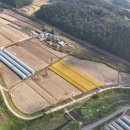 대정(1반) 이미지