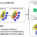 양3동 어린이집 이미지