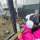 봉식이 | 대구 근교 청도 눈썰매 당일 캠크닉 - 봉식이놀이터