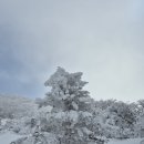 힐링하우스펜션 이미지