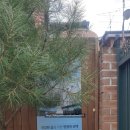 김진수한의원 이미지