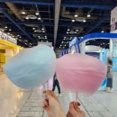 정치05 | [2025 서울머니쇼 후기] 코엑스 재테크 박람회에 다녀왔어요 신혼부부 데이트 추천 (장소, 입장료, 주차)
