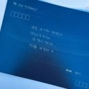 세잎클로버 | 세잎클로버