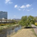 21세기안경원 | 주간 이응이키우기 - 4월 셋째주