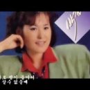 나무와새 네이버블로그