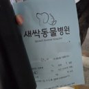 새싹동물병원 네이버블로그