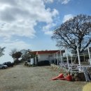 옵타티오펜션 이미지