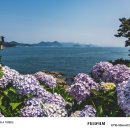 이순신공원(위령탑) | 경남 통영 수국 보기 좋은 곳 이순신공원, 통영 여름 여행지 추천