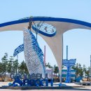 바다와숲 이미지