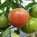 용범농장 이미지