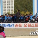 아리랑유도체육관 이미지