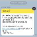 사하구보건소 구청사 | 사하보건소(구청사) 코로나 검사 및 코로나 자가진단키트(SD바이오센서) 사용 후기