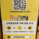 선학동 피찌방 네이버블로그