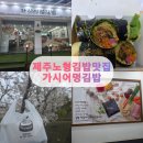 어멍 | 제주 노형 맛집 🍱 기본김밥부터 키토김밥까지 가시어멍김밥 후기