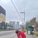 안성시장 이미지