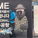 함덕연대 | 제주도에서 먹고 자고 똥싸기