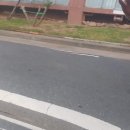 남악자동차공업사 | [목포 자동차 도색] 옥암 자동차 정비 공업사에서 차량 도색 후기