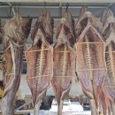 외포식당，외포수산
