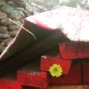 고래민박 이미지