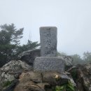 버스정류장 07-195 이미지