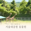 11500-12-31-02 | 아이랑 연휴에 갈만한 곳 고민이라면? 🐘 서울대공원 동물원 다녀온 솔직후기