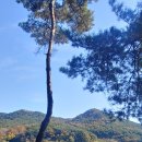 오서목장 네이버블로그