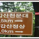 칠갑정 Daum카페