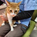 석곡리 1842 이미지