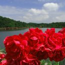 애플B유치원 이미지