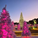 울주공연배달 4회차 | 울산 부산 아이랑 간절곶 크리스마스 트리 새울파빌리온 갈만한곳