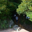 깃대봉_숲길(등산)1코스 이미지