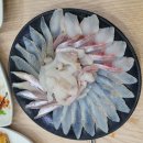 연다라회식당 | [포항 죽도시장 대게 맛집]연다라 회 대게 식당
