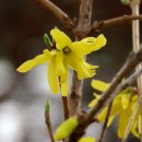 검단산 관광안내소 이미지